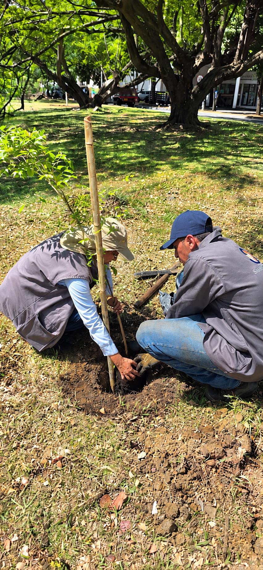 Forestal y Poda en Altura